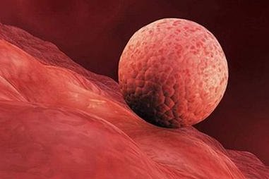 三代试管广州价格，广州三代试管陪诊费用