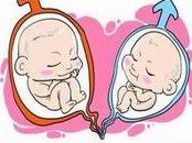 女性备孕多吃六种助孕食物